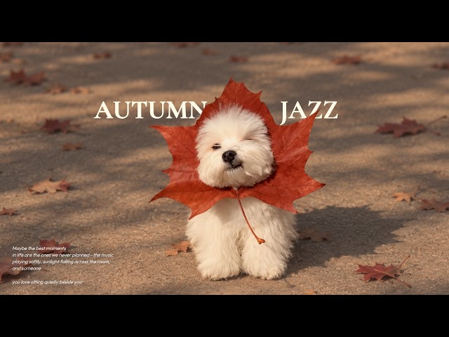[𝑷𝒍𝒂𝒚𝒍𝒊𝒔𝒕] 아니, 가을 재즈 들으러 왔다가 너만 보고 있잖아🐶🤎| Vintage Jazz · Cafe Jazz