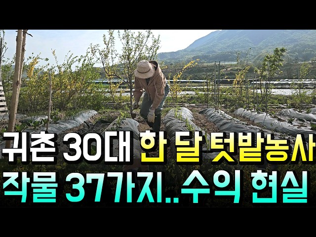 A 30-pyeong vegetable garden as bountiful as 100 pyeong, the process of planting and harvesting 3...