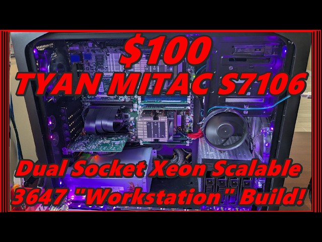 $100 TYAN MITAC S7106 Dual Socket Xeon Scalable 3647 "Workstation" Build!