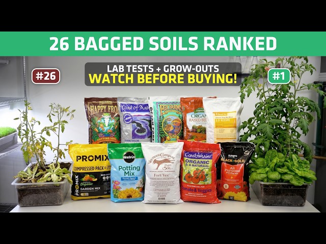 Top 10 Bagged Soils Ranked After 2 Years of Testing