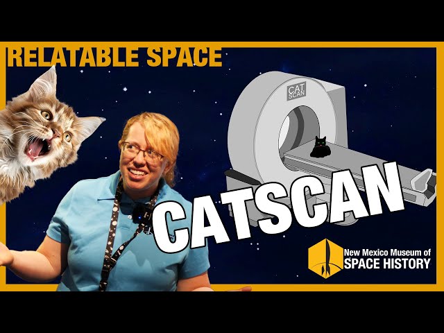 Relatable Space - CATSCAN