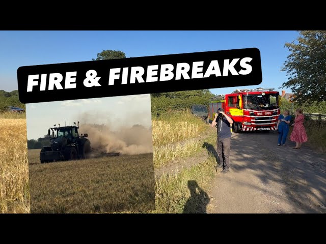  WHEAT ON FIRE OSR VERY DRY AnswerAsAPercent 2305