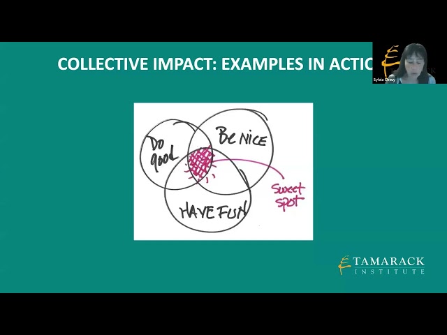 Overview of the Collective Impact Framework - Module #2  | National Council of Social Service