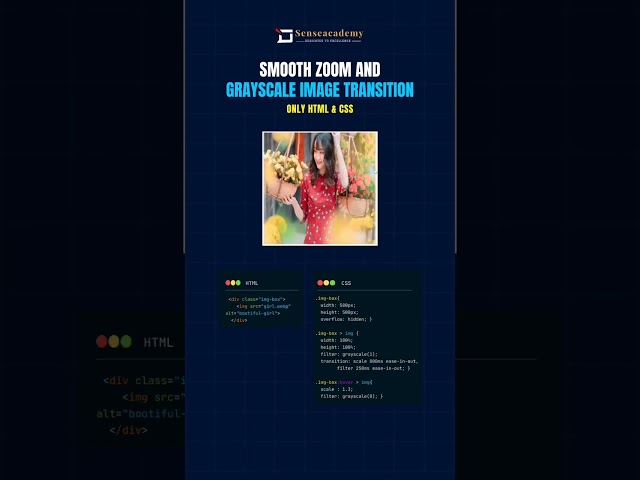 HTML & CSS Smooth zoom and grayscale Image transition #shorts