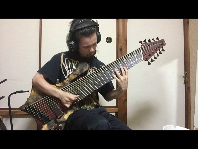 11 string bass on Technical Death Metal