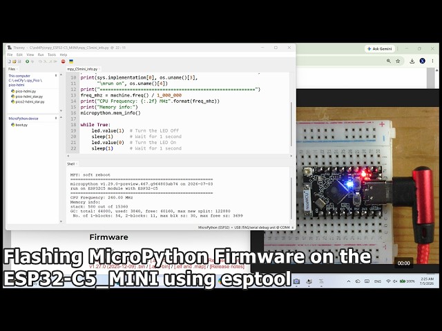 Flashing MicroPython Firmware on the ESP32-C5_MINI using esptool
