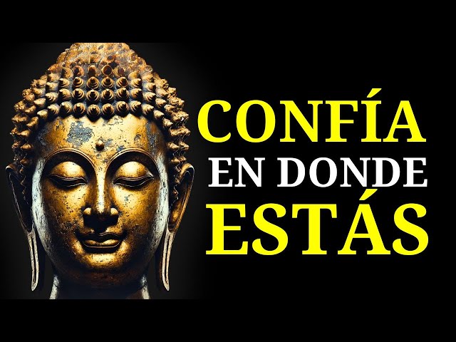 (SIN ANUNCIOS) Duérmete Con Enseñanzas Budistas Que Te Recuerdan: Está Bien Sentirse Perdido