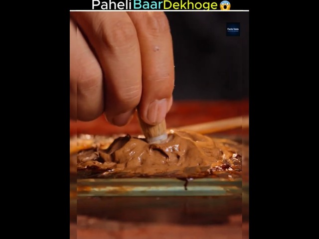 Dog Hair Turning Into a Crazy Cool Product.😱//#facts #hindi #shorts