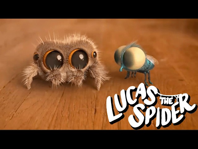 How Lucas the Spider Met Findley + More Lucas the Spider Cartoons for Kids