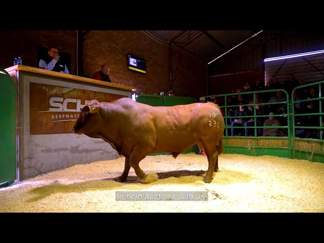 Landbouweekliks - Seisoen 18 Episode 12 (Wilhelmus van der Schyff - Schyff Beefmasters)