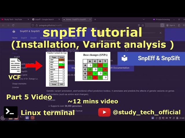 snpEff tutorial | Installation | variant calling #bioinformatics #tutorial