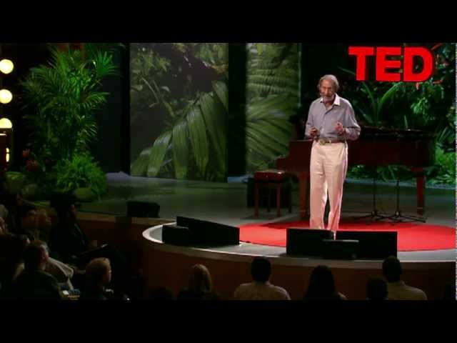 Geoffrey West: The surprising math of cities and corporations