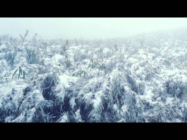 陽明山的冬季