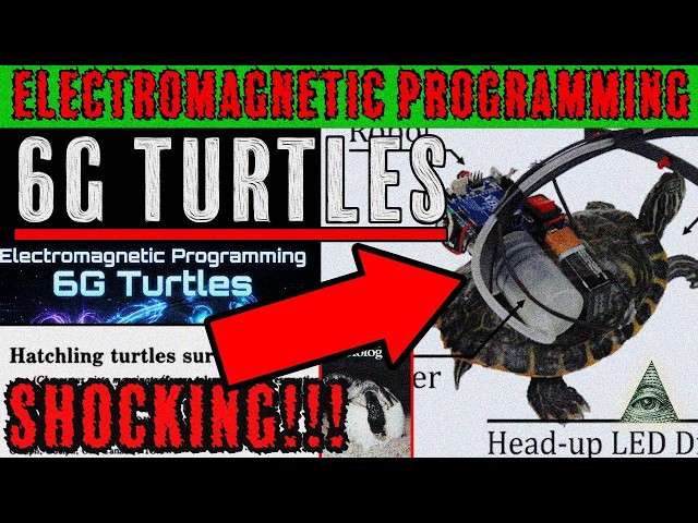 Illuminati Turtles: Electromagnetic 6G 'Turtle' Programming!!!