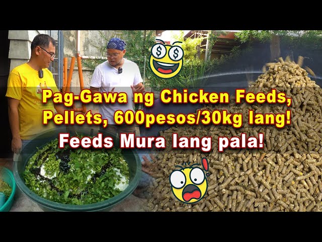 Pag-Gawa ng Chicken Feeds, Pellet, 600 Pesos/30kg lang pala!