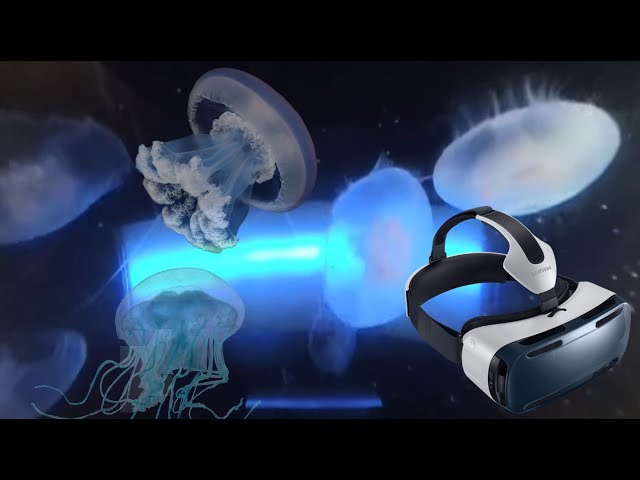 Jelly Fish in VR180 3D 4K - Seattle Aquarium