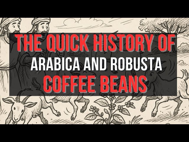 Where Do Coffee Beans Come From? History, Varieties & Why Elevation Matters