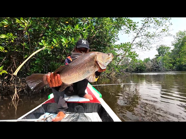 Dapat banyak ikan kakap dan ikan tirus saat mancing dimusim kabut asap.