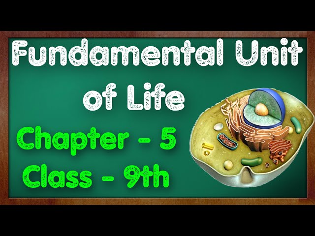 Fundamental Unit of Life Class 9 Science Chapter 5 Biology CBSE NCERT KVS