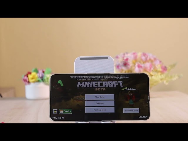 How to See Your Minecraft Account Level | Check Your Minecraft Level