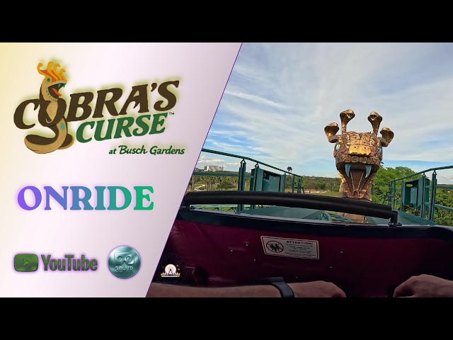3D VR180 ULTRA WIDE VIEW ONRIDE POV @Cobras Curse Buschgardens Tampa FL