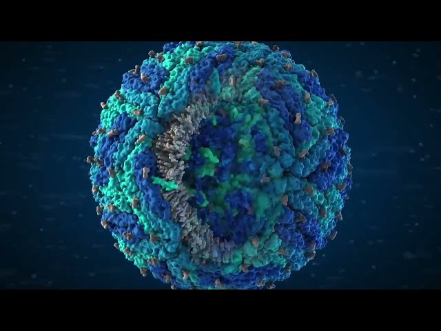 Visual Science MoA animation Reel 2023