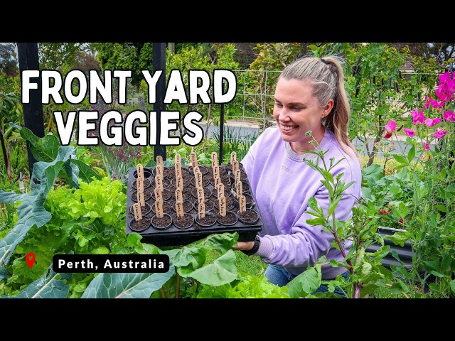 Early Spring Prep + Garden Tour 🌱 Warm Climate Australia (Perth) Zone 10b