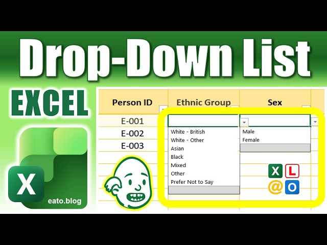 How to Create a Drop-Down List in MS EXCEL (Data Validation tool)