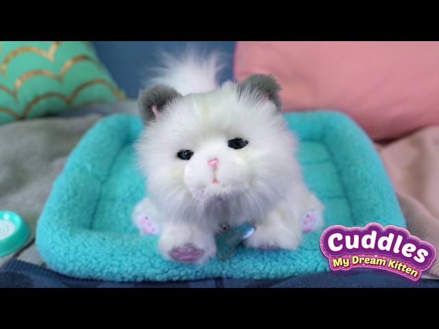 Little Live My Dream Kitten Cuddles | How To Video