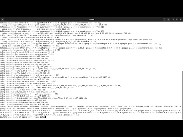 Build Your First Agentic AI with Python & Gemini | Hello World AI Agent in 10 Minutes