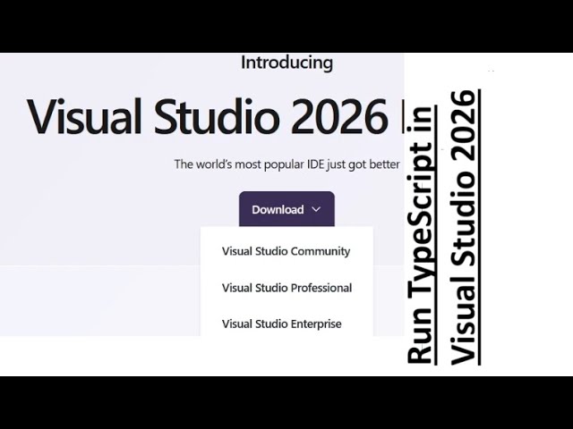 Run TypeScript in Visual Studio 2026