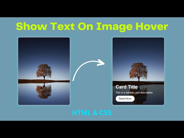 How To Overlay Text On An Image in CSS | CSS Image Hover Effects