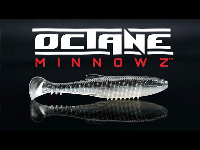 Inside the Octane MinnowZ | The SWAG Tail Difference