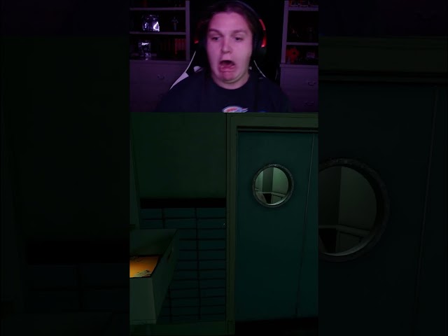 Bro was shivering his timbers...  #gaming #clips #horrorgaming #streamer