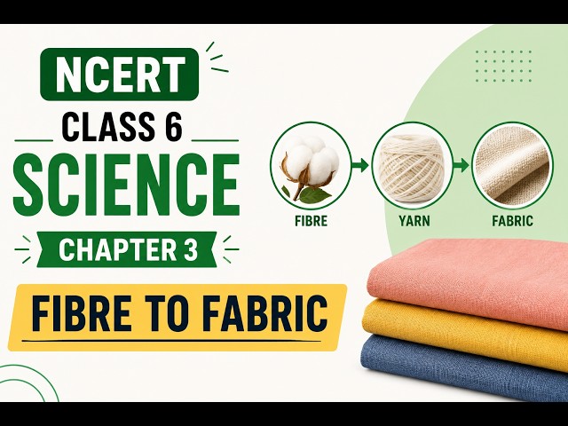 NCERT Class 6 Science, Chapter 3, Exercise 1, Question 3: Fibre to Fabric