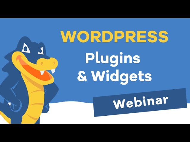 WordPress Plugins & Widgets - What you NEED to Know