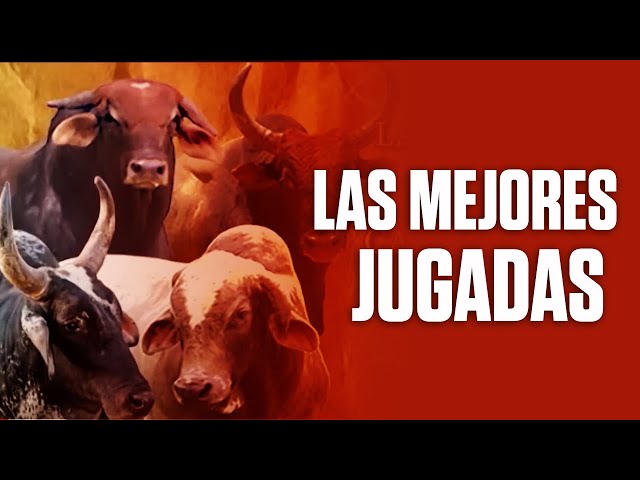 😱💥🔥 Las Mejores Jugadas del Campeonato #18 ACET