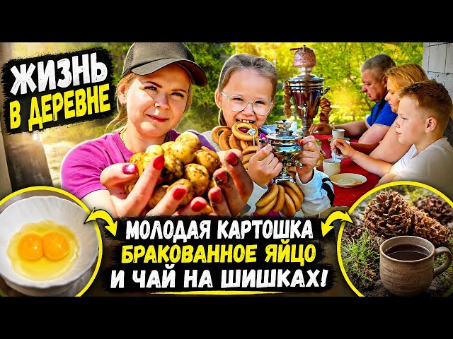 КАК МОЛОДАЯ СЕМЬЯ ЖИВЁТ В ДЕРЕВНЕ? ЧАЕПИТИЕ ИЗ САМОВАРА, МОЛОДАЯ КАРТОШКА И БРАКОВАННОЕ ЯЙЦО!