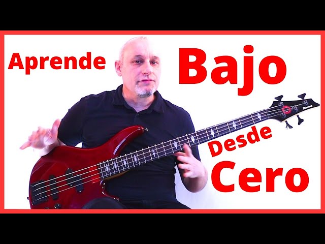 ✅Learn to Play Bass from Scratch✅How to Play Bass✅Learn Bass Technique for Beginners