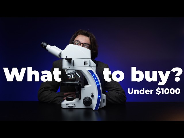 The Best Microscope Under $1000: What to buy in 2026