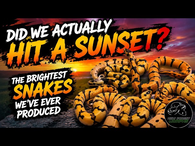 DID WE ACTUALLY HIT A SUPER OD SUPER ENCHI SUNSET HET CLOWN ? + PHOTO SHOOT ON FIRE ENCHI LEO CLOWNS