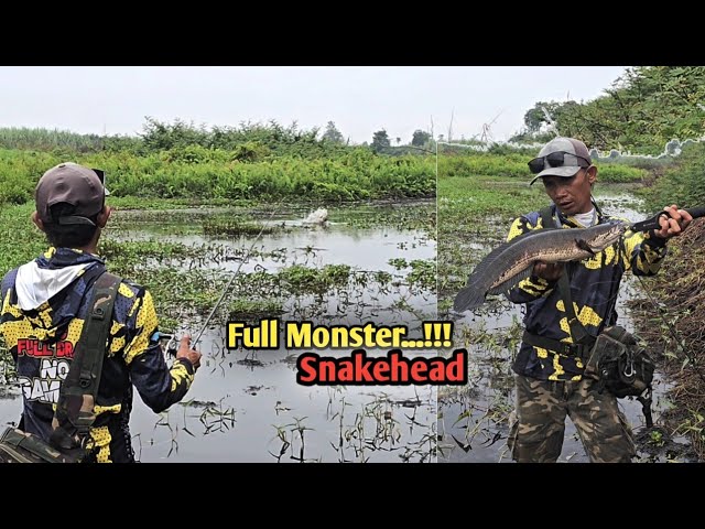 Coba-coba Casting gabus!!! Gak nyangka full strike monster dan gabus purba