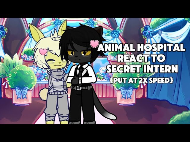 Animal hospital react to secret Intern put at 2x speed 