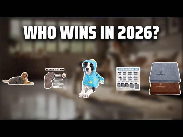 The Top 5 Best Dog Towels in 2026 - Must Watch Before Buying!