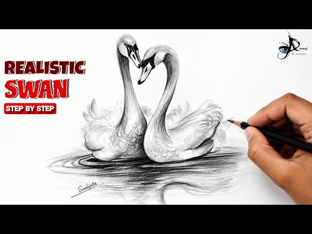 How to draw Realistic Swan Drawing with Pencil & Charcoal | Step by Step