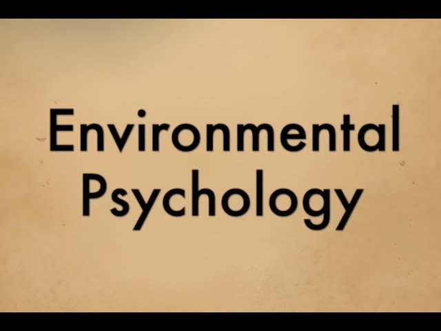 What is Environmental Psychology? | Bite Sized Psychology | What is psychology series