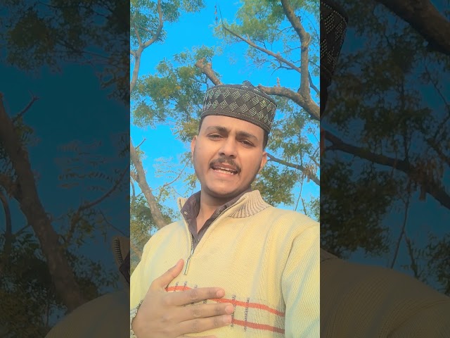 #shorts #shortvideo #shortsfeed #live #livestream #المصحف #trending #viral #quran #love