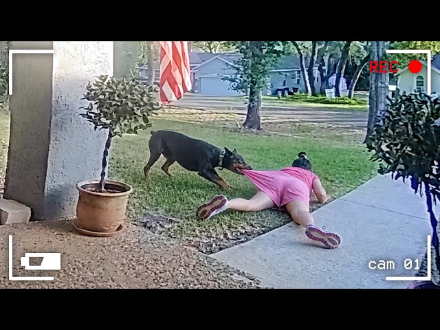 105 Incredible Moments Caught on CCTV Camera