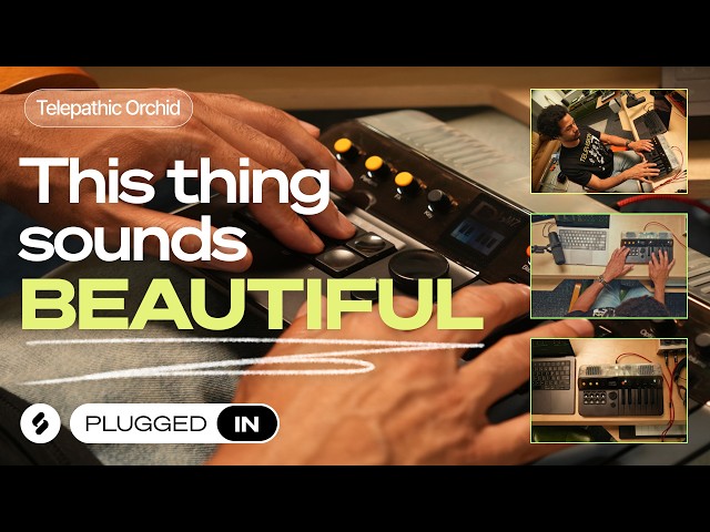 Kevin Parker Built a Synth and It's Actually Incredible: Telepathic Orchid Reviewed (Plugged In)