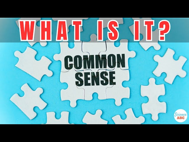 What Is Common Sense… Really?